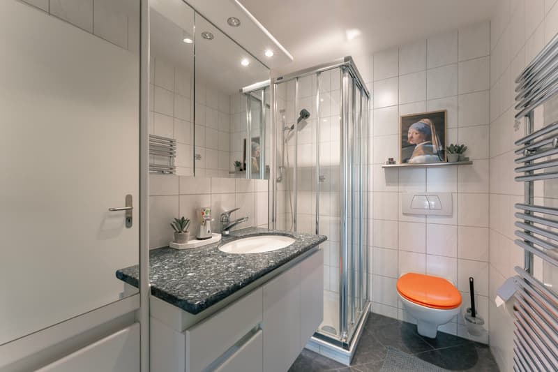 Gepflegte 3½-Zimmer Wohnung an ruhiger Lage zu verkaufen (8)