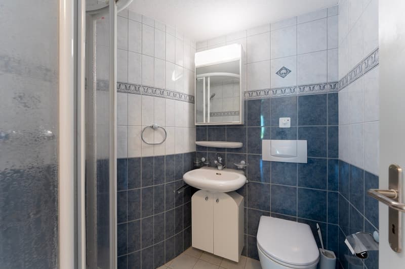 Sanierte 4½-Zimmer Wohnung mit traumhaftem See- und Bergblick (15)