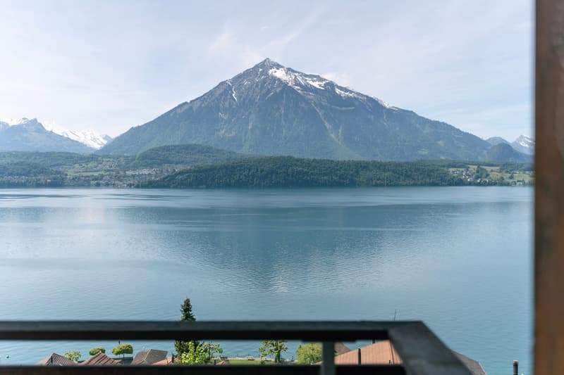 Sanierte 4½-Zimmer Wohnung mit traumhaftem See- und Bergblick (7)