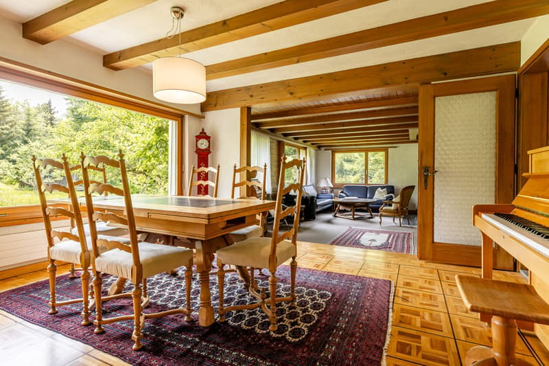 Einmaliges Architektenhaus auf grosszügiger Parzelle in Zweisimmen zu verkaufen (5)