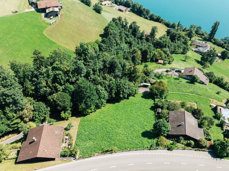 Grosszügige Baulandparzelle mit spektakulärer Aussicht in Sigriswil (6)