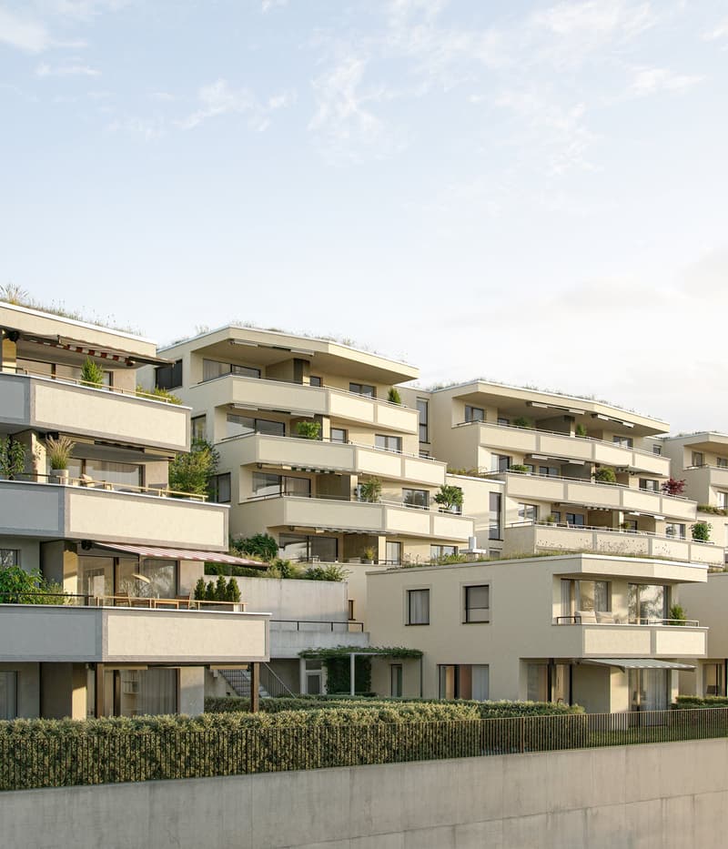 Grosszügig wohnen mit Weitblick - 4½-Zimmer Terrassenwohnung in der GRÜNEGG (2)