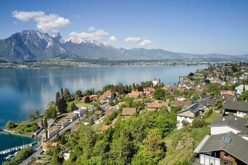 3½-Zi.-Dachwohnung: Wohnen mit 60er-Jahre-Flair und Blick auf das Schloss (12)