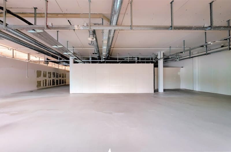 Wide, white room, large white wall, unfinished ceiling, metal framing