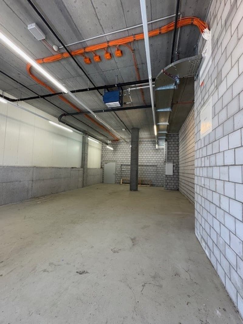 Empty room with exposed brick walls, white walls, fluorescent lighting, and exposed ducts and pipes.