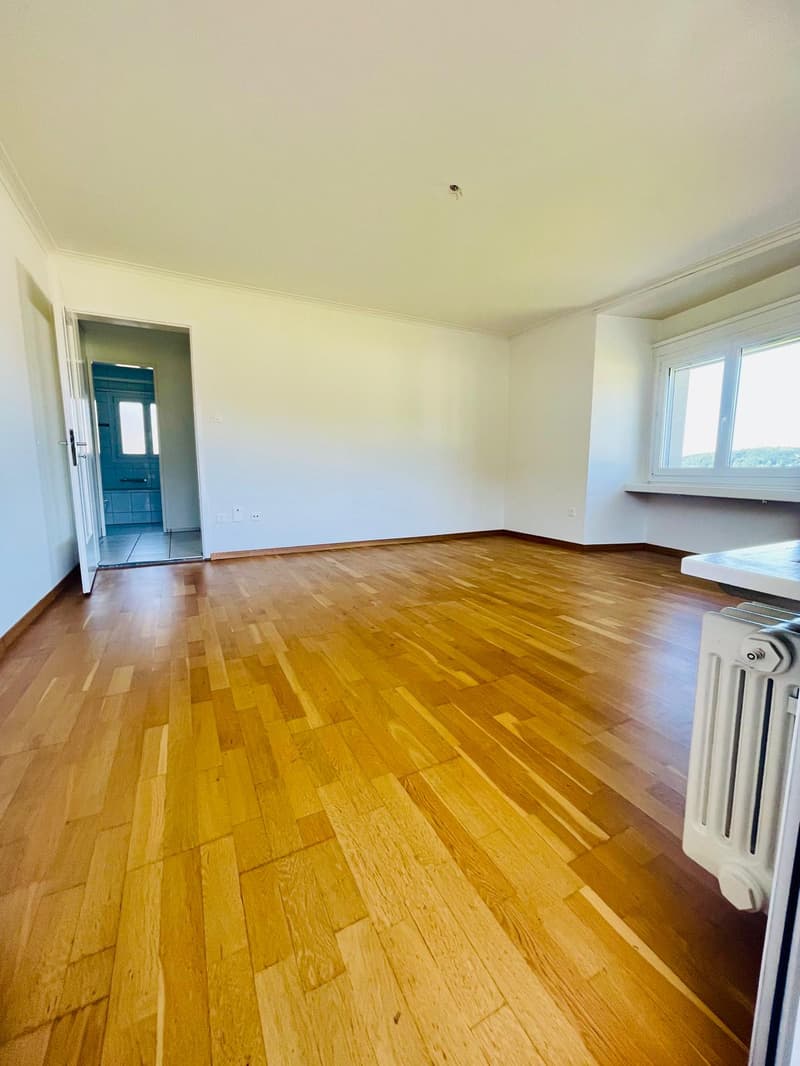 empty room, wooden floor, white walls, open door, window, radiator
