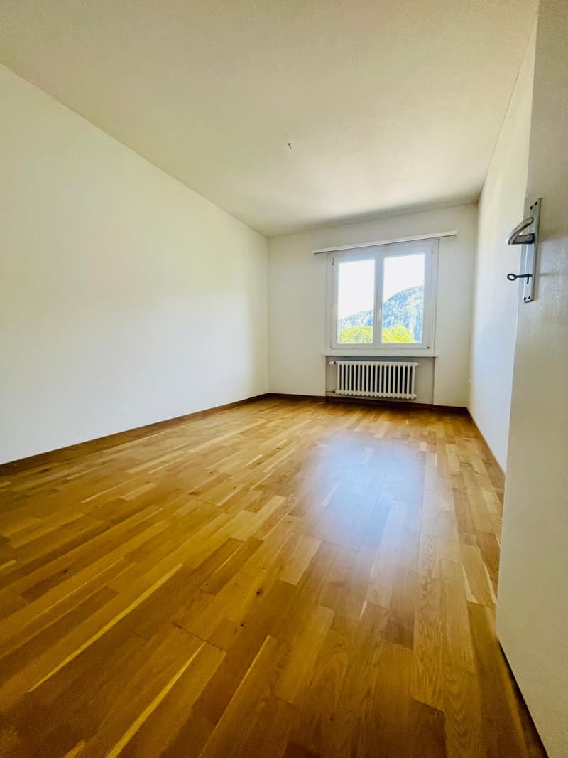 empty room, wooden floor, white walls, window with mountain view, white radiator