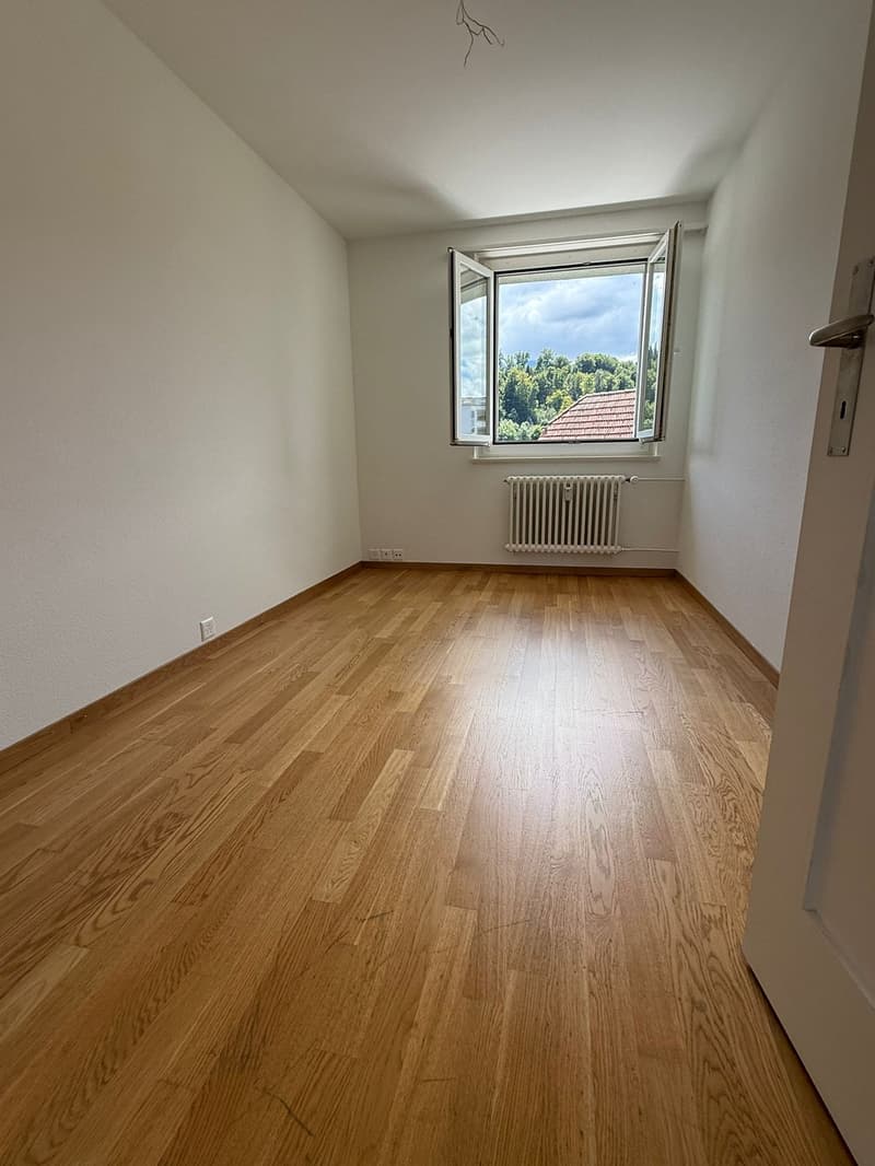 Charmante 4.5-Zimmer-Wohnung mit Balkon und schöner Aussicht in Luzern (13)