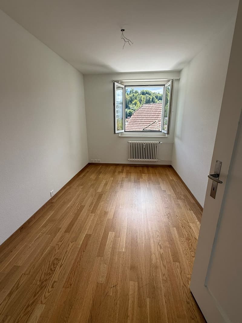Charmante 4.5-Zimmer-Wohnung mit Balkon und schöner Aussicht in Luzern (12)