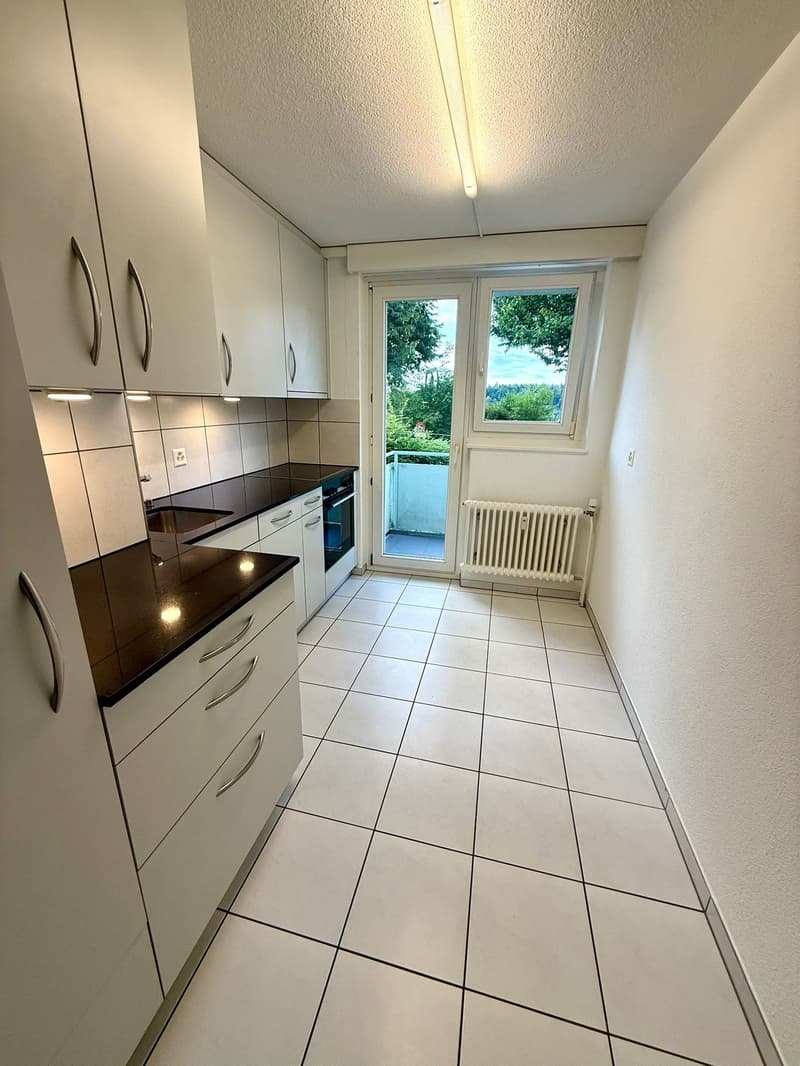 Charmante 4.5-Zimmer-Wohnung mit Balkon und schöner Aussicht in Luzern (7)