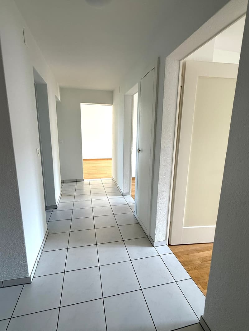 Charmante 4.5-Zimmer-Wohnung mit Balkon und schöner Aussicht in Luzern (4)