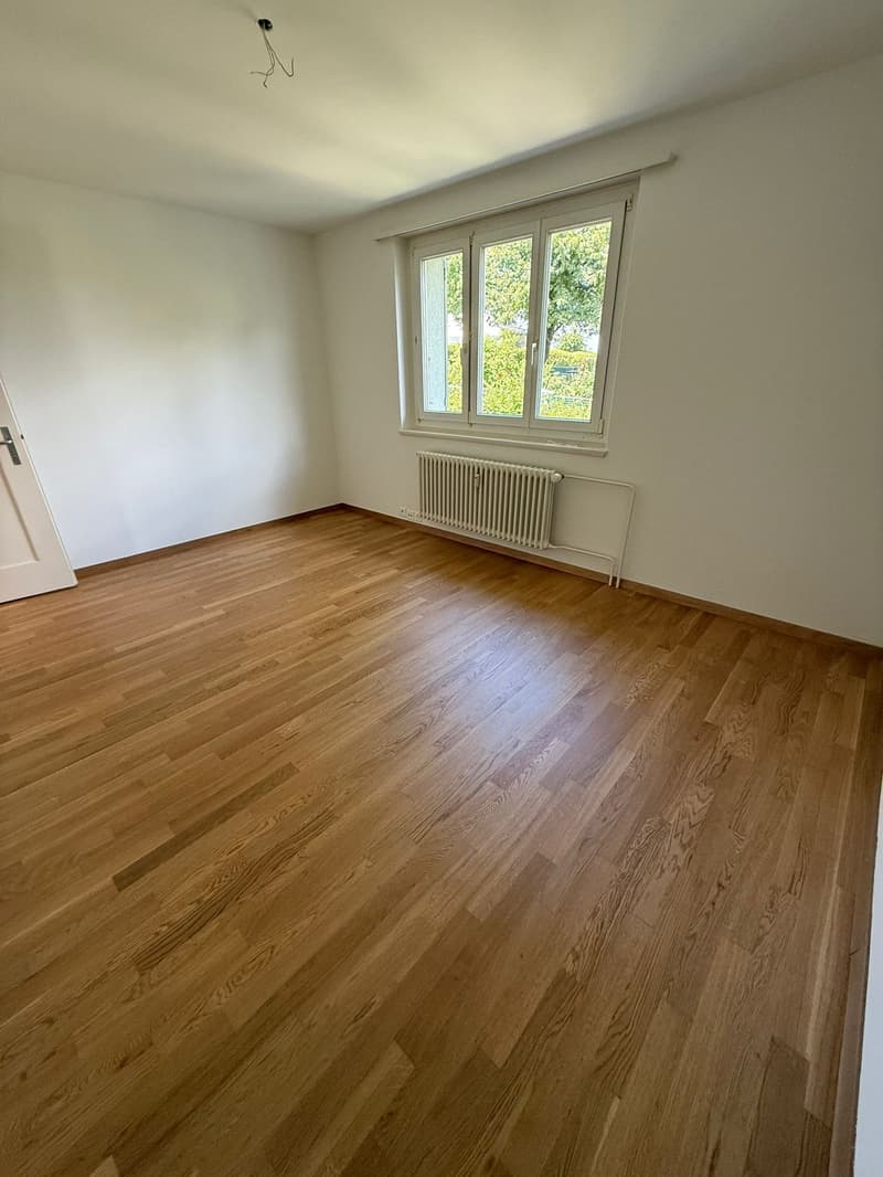 Charmante 4.5-Zimmer-Wohnung mit Balkon und schöner Aussicht in Luzern (14)