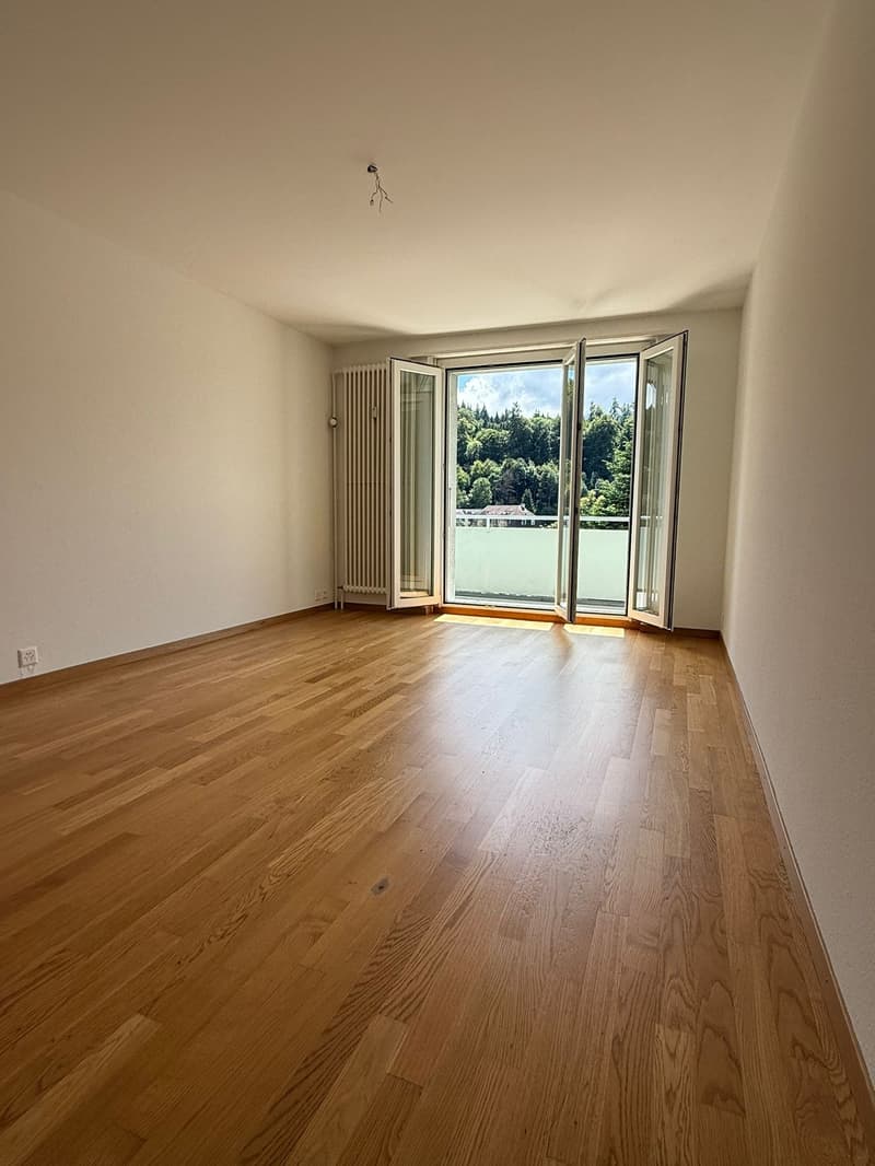 Charmante 4.5-Zimmer-Wohnung mit Balkon und schöner Aussicht in Luzern (20)