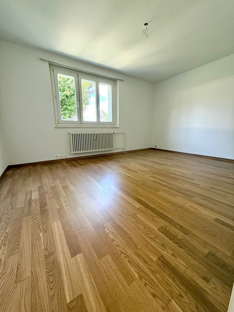 Charmante 4.5-Zimmer-Wohnung mit Balkon und schöner Aussicht in Luzern (5)