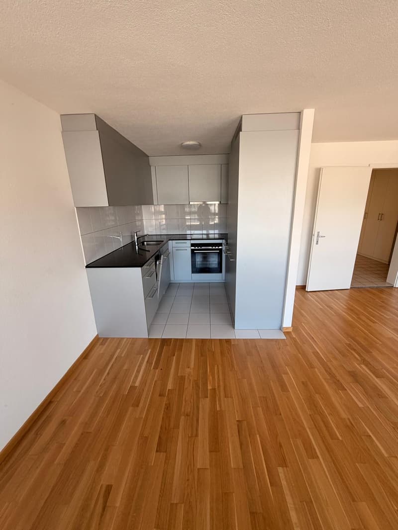 Charmante 3.5-Zimmer-Wohnung mit Balkon und Seeblick in Luzern (4)