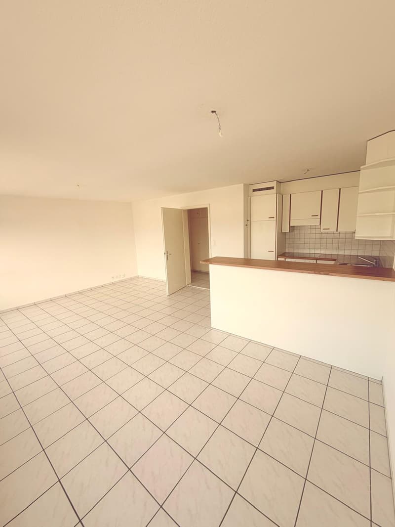 Helle 4.5-Zimmer-Wohnung mit Balkon und Seenähe in Luzern (3)