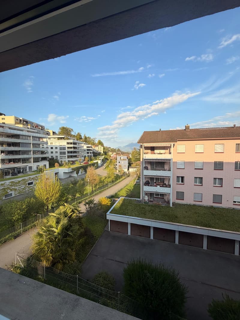 Charmante 4.5-Zimmer-Wohnung mit Balkon in ruhiger Lage in Kriens (1)