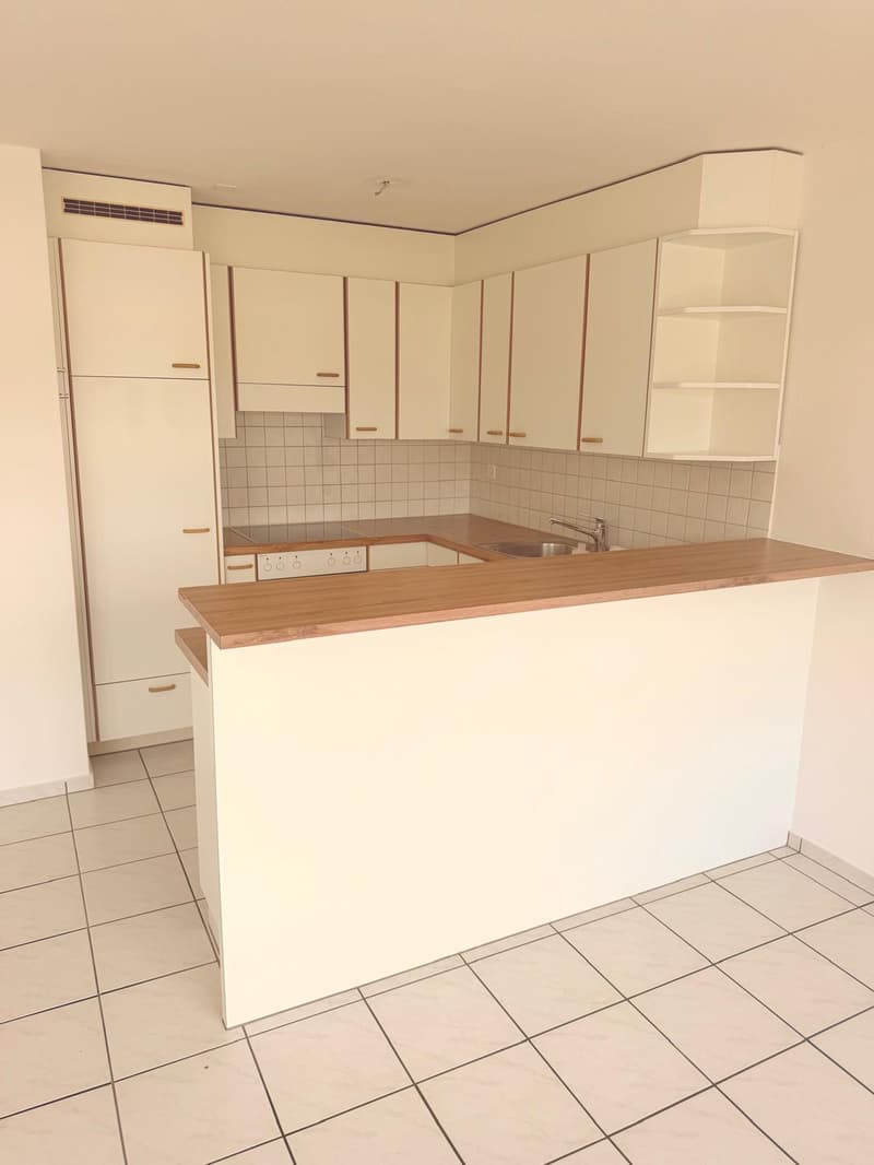 Helle 4.5-Zimmer-Wohnung mit Balkon und Seenähe in Luzern (2)