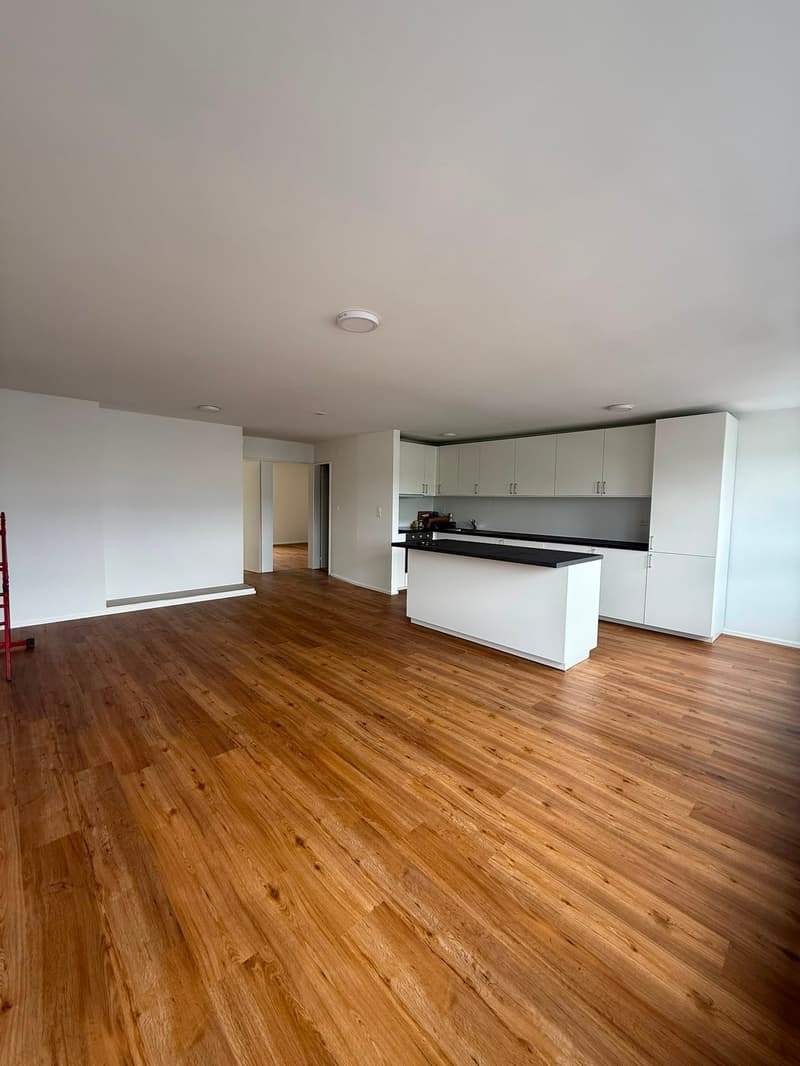 Kernsanierte und helle 4.5-Zimmer-Wohnung mit Balkon und schöner Aussicht in Luzern (2)