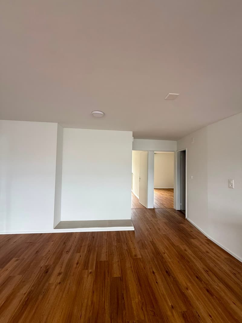 Kernsanierte und helle 4.5-Zimmer-Wohnung mit Balkon und schöner Aussicht in Luzern (6)