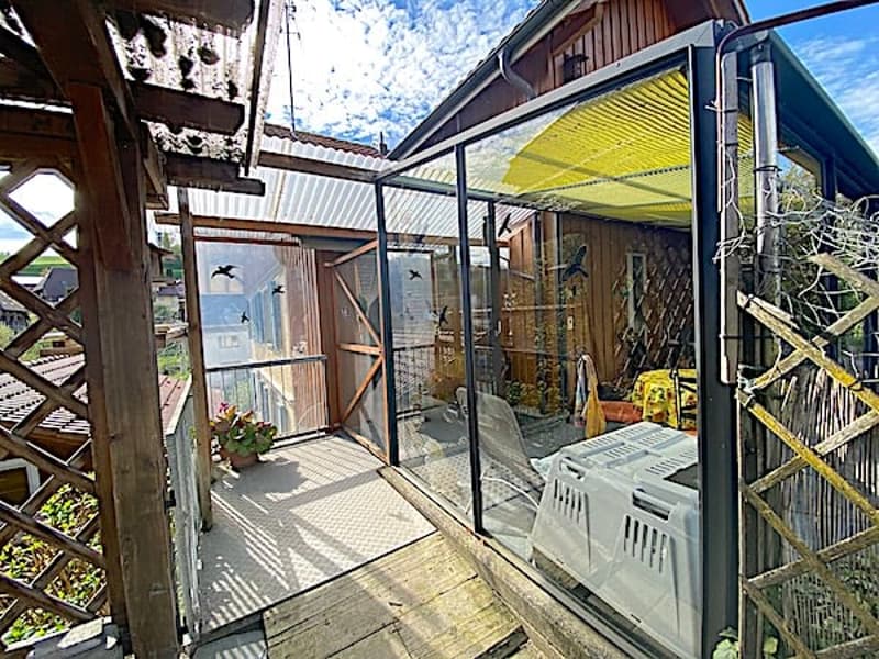 Mehrfamilienhaus mit 3 Wohnungen und Geschäftslokal (33)