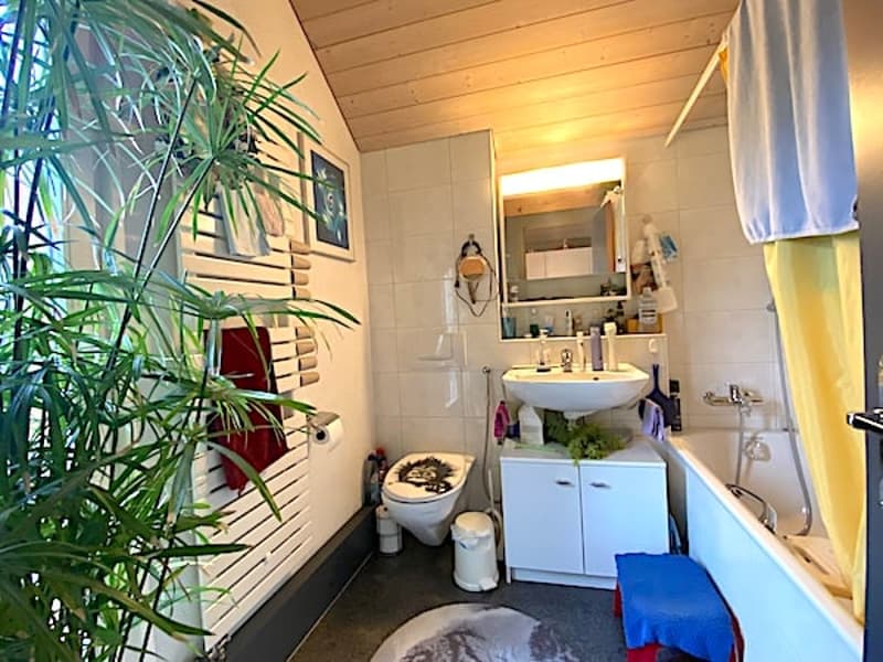 Mehrfamilienhaus mit 3 Wohnungen und Geschäftslokal (32)