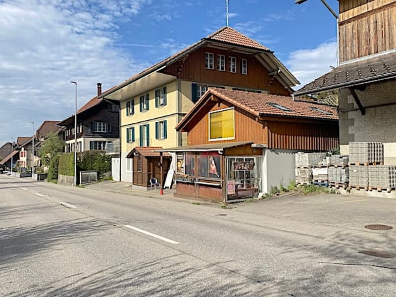 Mehrfamilienhaus mit 3 Wohnungen und Geschäftslokal (8)