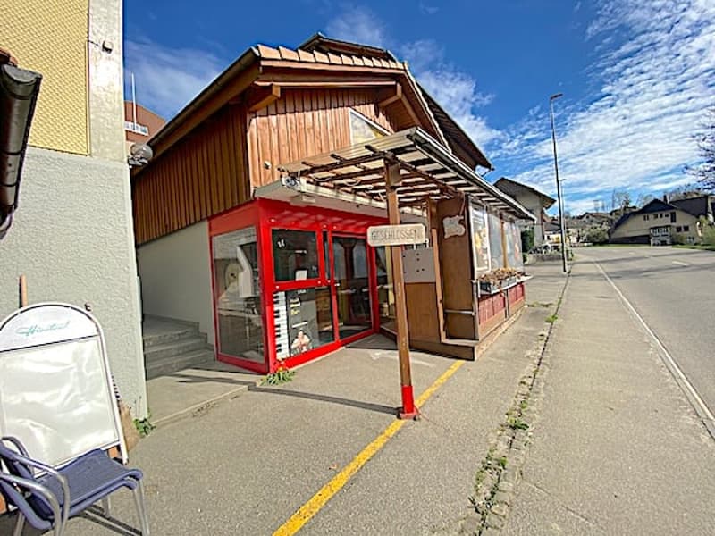 Mehrfamilienhaus mit 3 Wohnungen und Geschäftslokal (11)