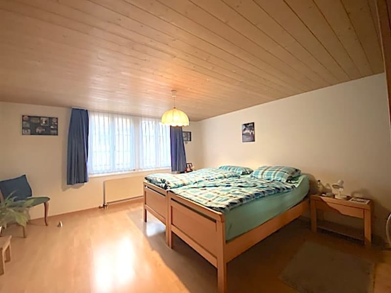Mehrfamilienhaus mit 3 Wohnungen und Geschäftslokal (30)