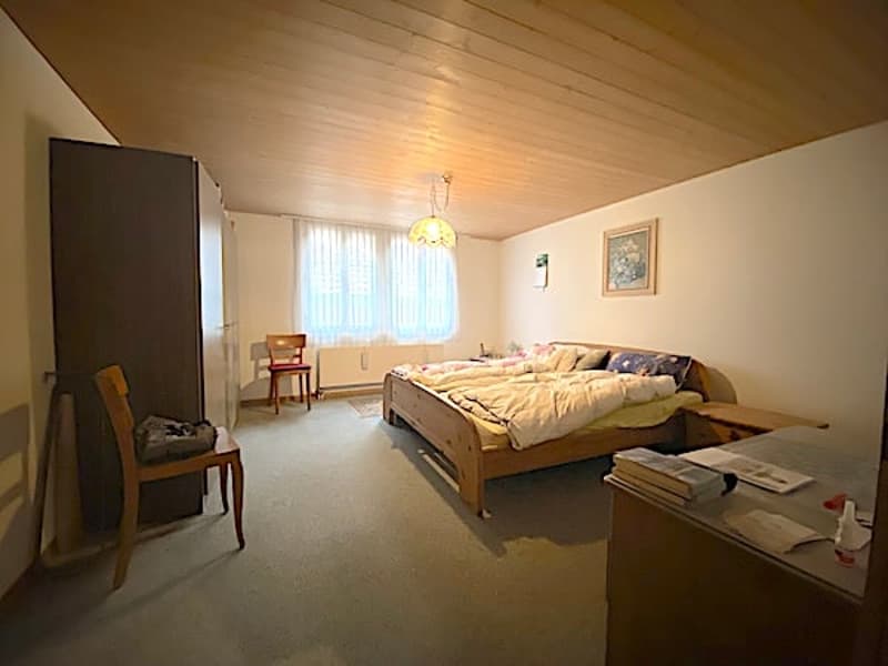 Mehrfamilienhaus mit 3 Wohnungen und Geschäftslokal (25)