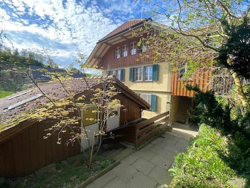 Mehrfamilienhaus mit 3 Wohnungen und Geschäftslokal (2)