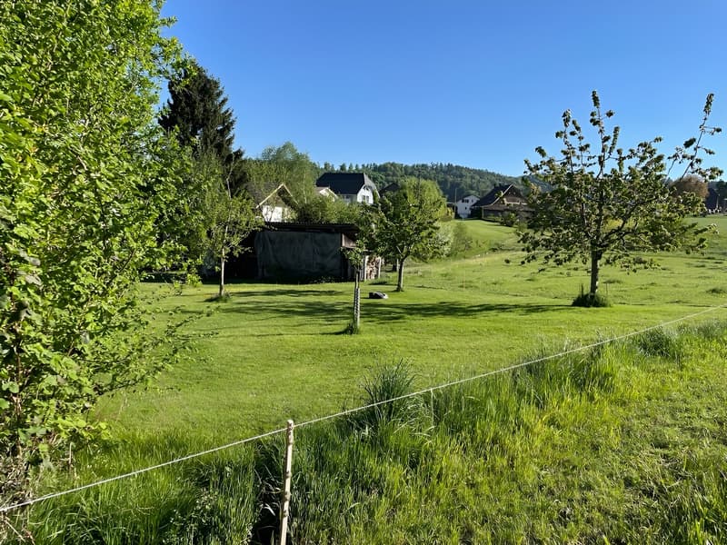 Idyllisch und ruhig wohne u glich schnäu überau (2)