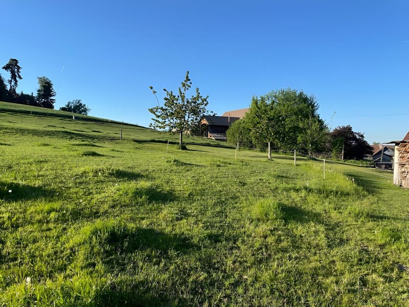 Idyllisch und ruhig wohne u glich schnäu überau (10)