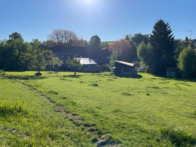 Idyllisch und ruhig wohne u glich schnäu überau (8)