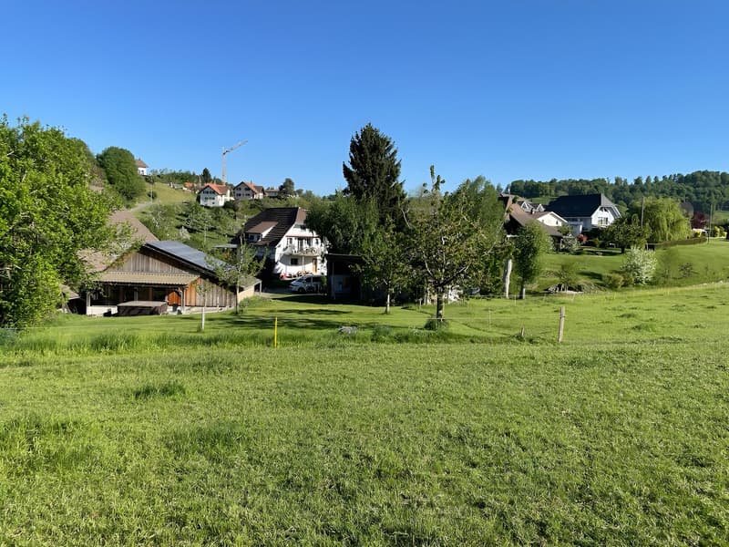 Idyllisch und ruhig wohne u glich schnäu überau (3)