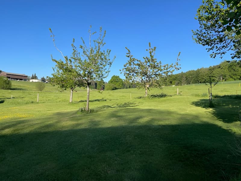 Idyllisch und ruhig wohne u glich schnäu überau (5)
