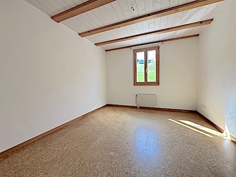 Bauernhaus, Stöckli m. 2 Wohnungen, Quellen, Aussicht, Sonne (32)