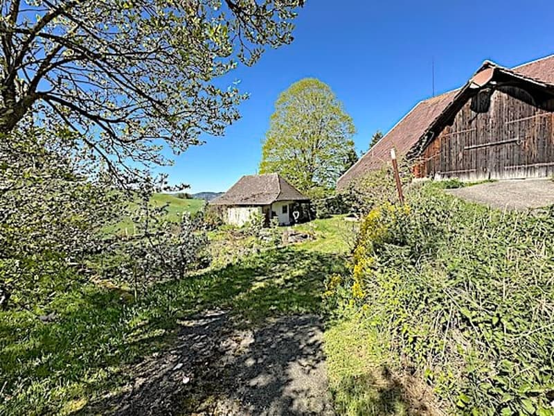 Bauernhaus, Stöckli m. 2 Wohnungen, Quellen, Aussicht, Sonne (14)