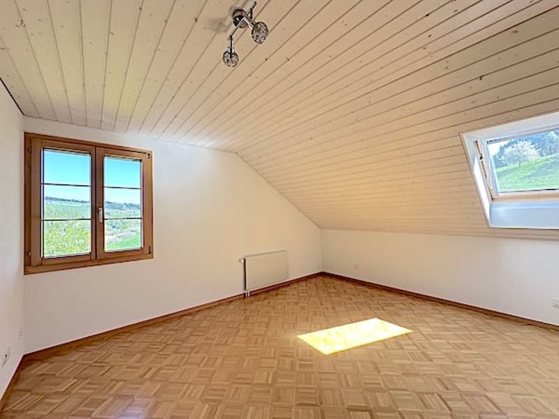Bauernhaus, Stöckli m. 2 Wohnungen, Quellen, Aussicht, Sonne (35)