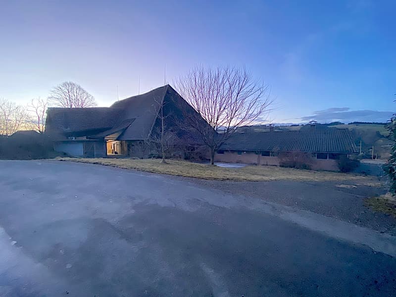 Bauernhaus, Stöckli m. 2 Wohnungen, Quellen, Aussicht, Sonne (6)