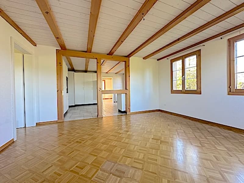 Bauernhaus, Stöckli m. 2 Wohnungen, Quellen, Aussicht, Sonne (34)