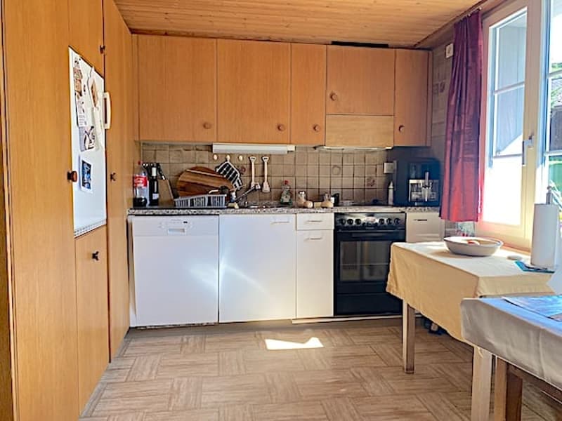Mehrfamilienhaus m. grossem Garten, 13 Zimmer, 3 Wohnungen (13)