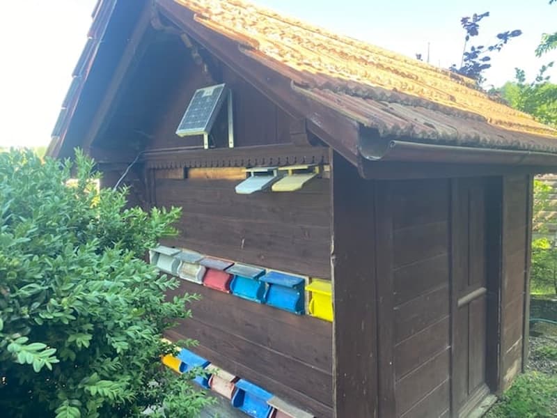 Mehrfamilienhaus m. grossem Garten, 13 Zimmer, 3 Wohnungen (10)