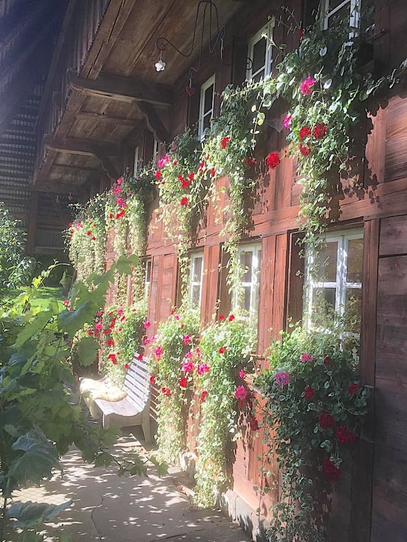 Ein Bauernhaus wie im Paradies! (8)