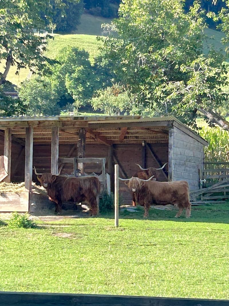 Ein Bauernhaus wie im Paradies! (18)