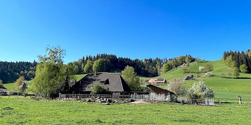 Ein Bauernhaus wie im Paradies! (11)