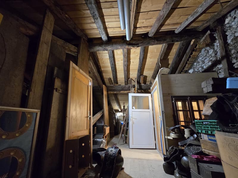Authentique maison villageoise rénovée (8)