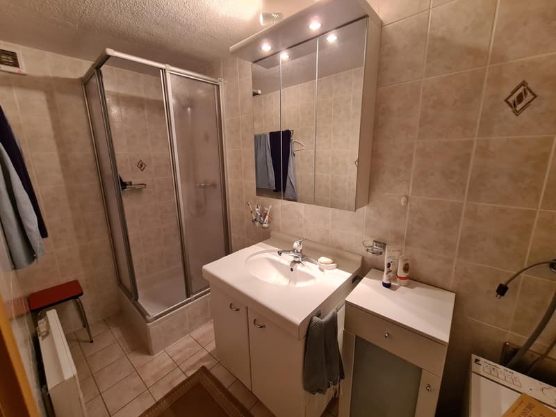 Authentique maison villageoise rénovée (7)