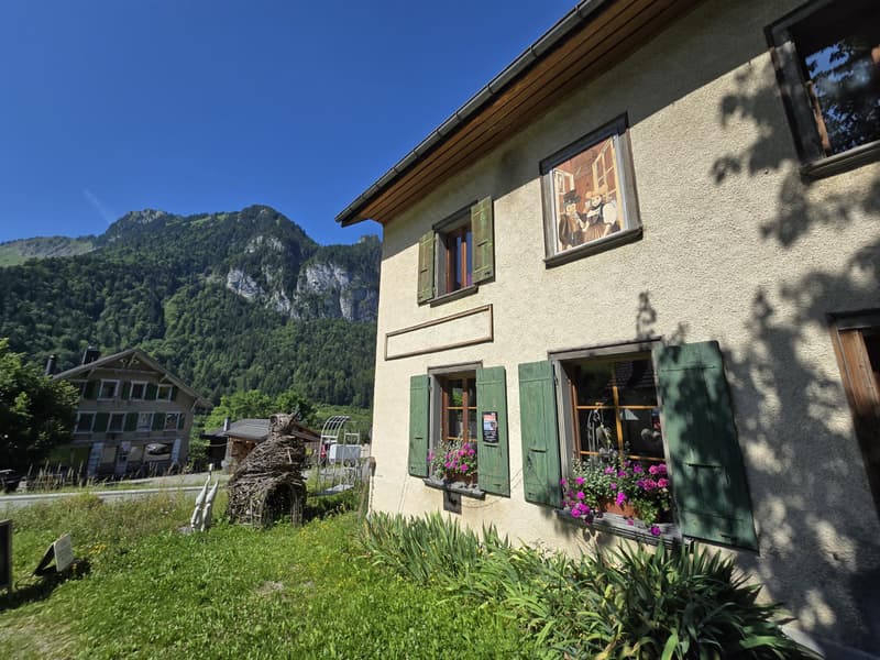 Magnifique bâtisse du 19ème siècle avec local commercial (3)