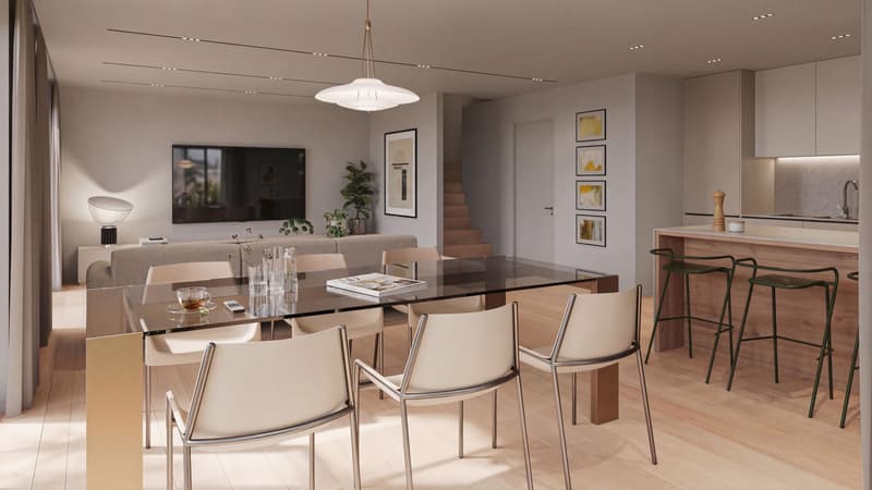 Nouvelle promotion "Les Hauts de Collonges" : 6 villas mitoyennes contemporaines de 4.5 pces (7)